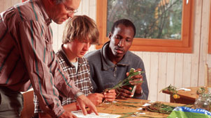 Apprentices classify dried plants