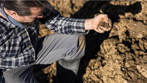 Landwirt zerkrümelt Boden in seiner Hand